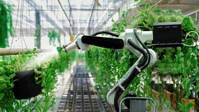 How Hydroponic Farming Is Changing Agriculture Around the World whatsapp image 2026 09 28 at 7.59.08 pm (1)