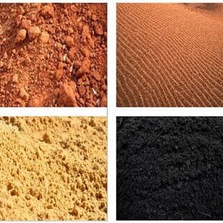 Why Soil Health Matters for the Future of Global Food Security whatsapp image 2026 10 03 at 8.18.46 pm (1)