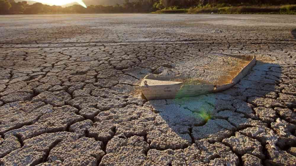 Why Soil Health Matters for the Future of Global Food Security whatsapp image 2026 10 03 at 8.18.47 pm (1)