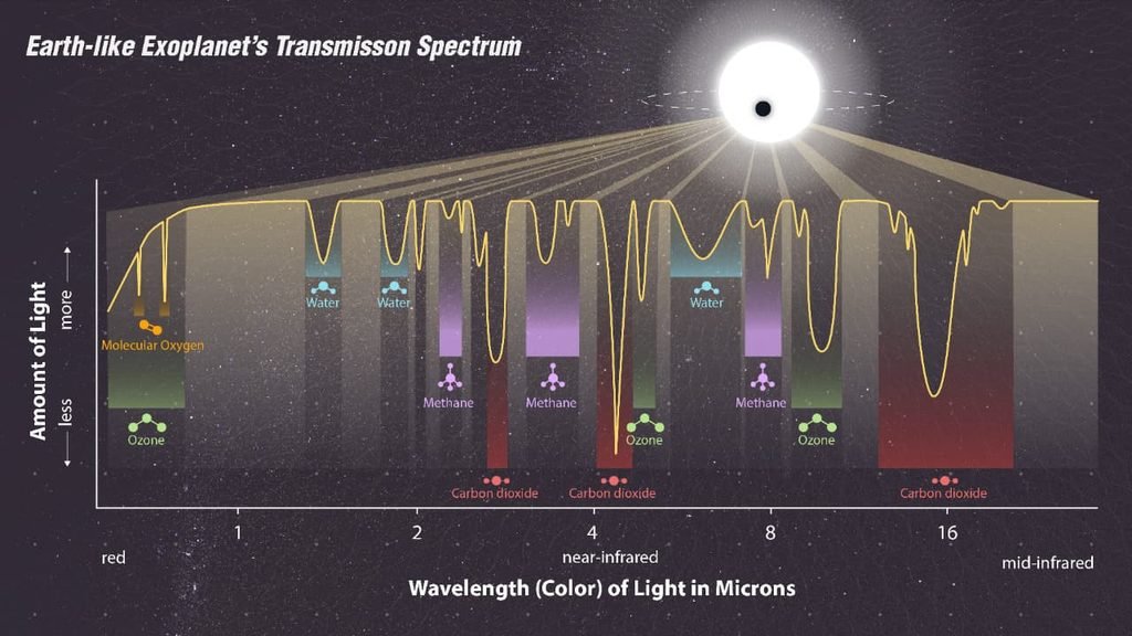 LHS 1140 b: Could This Distant Planet Be a Water World? whatsapp image 2026 10 06 at 6.41.42 pm (2)